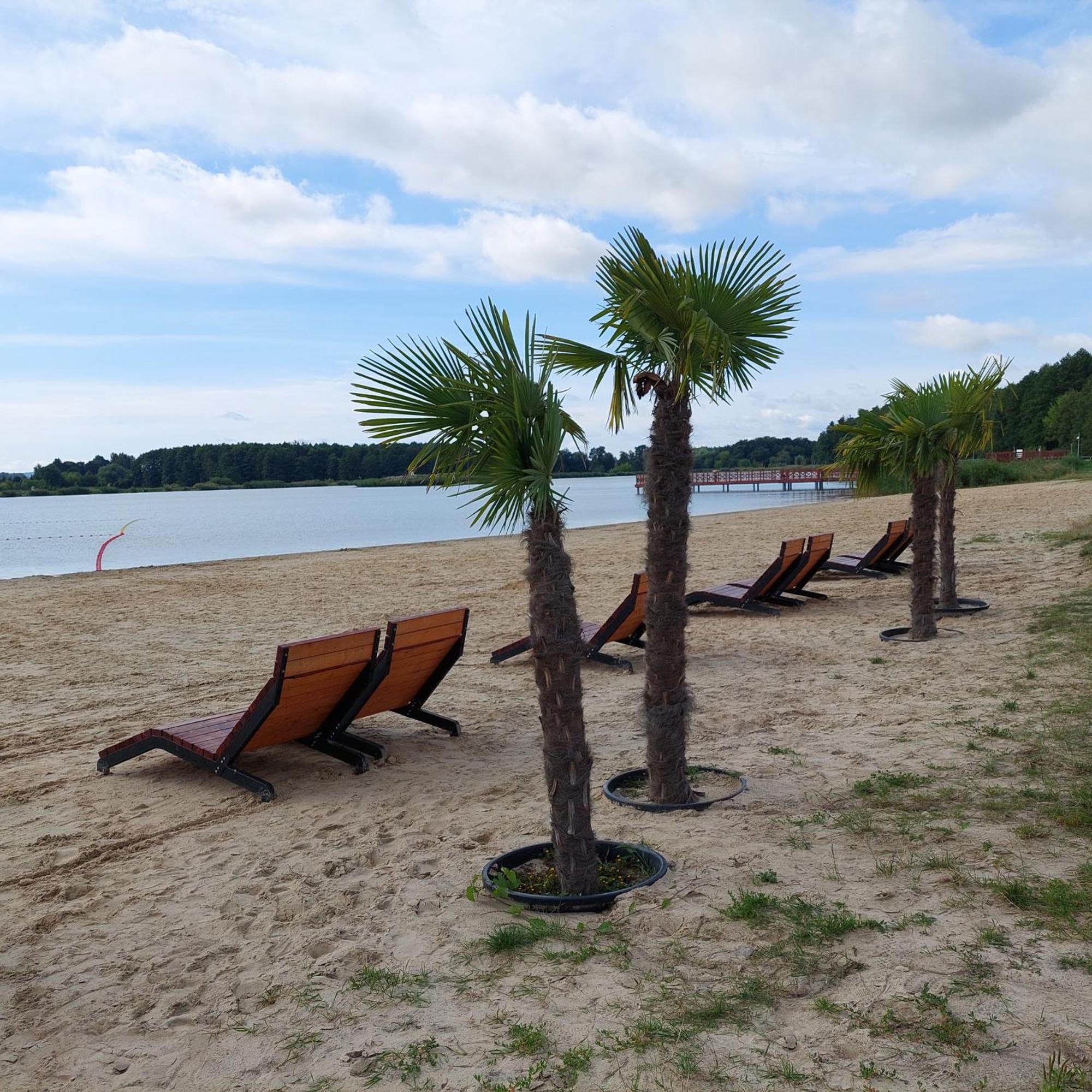 Apartament Turysty Zamczysko Zamość Buitenkant foto